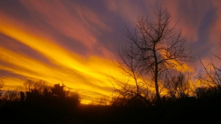 Fantastic sunset - hills, fantastic, wood, forest, hrvatsko zagorje, nice, sky, croatia, sun, clouds, eavning, beautiful, beauty, tree, wonderful, nature, sunset