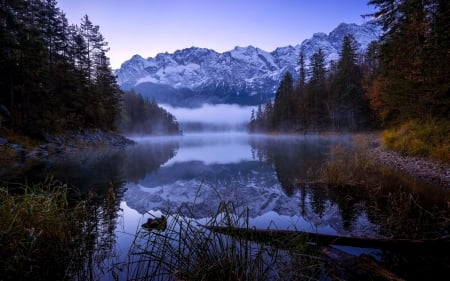 Beautiful Scenery - trees, nature, mountain, reflection