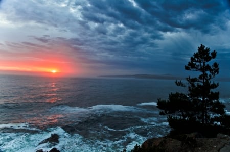 Seaside Sunset - sun, clouds, water, tree, sea, coast