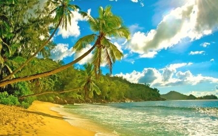 Beach Paradise - clouds, trees, summer, beach, ocean, palm, nature, jungles, paradise, mountains