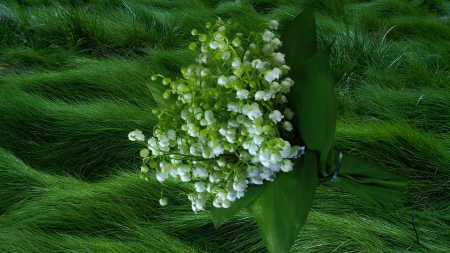 Bouquet - nature, bouquet, flowers, grass