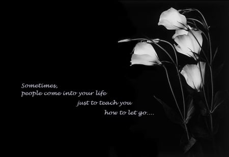 Sometimes... - flowers, saying, black, white, words