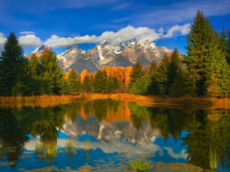 Grand Teton National park - river, nature, tree, park