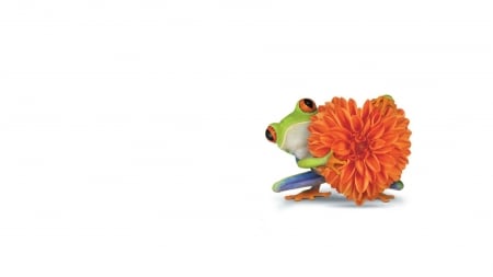 Be my Valentine - flower, funny, cute, white, card, valentine, heart, frog, orange, green