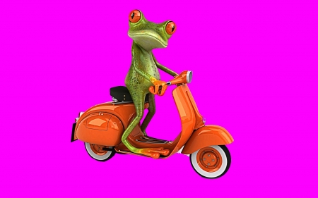 Funny frog - funny, green, orange, broasca, pink, frog