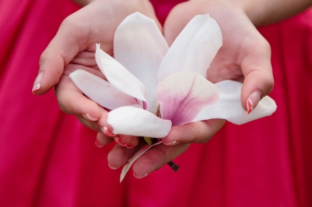 ♥ - abstract, hands, flower, soft