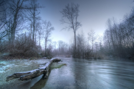 Cold Morning - frost, river, trees, nature