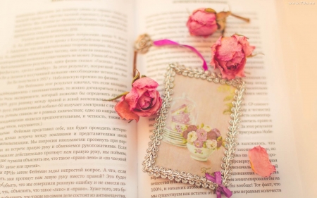 Still Life - flowers, frame, still life, book