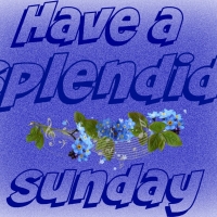 SPLENDID SUNDAY