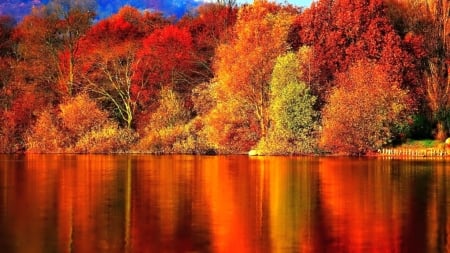 Red Autumn Forest - trees, nature, autumn, red, lake, forest, reflection