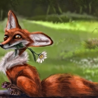 Cool Fox