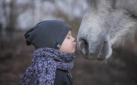 Kiss - horse, kiss, hat, winter, child, copil, scarf, cute