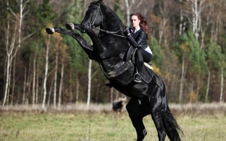 Wild Ride - girls, women, style, fun, models, female, fashion, cowgirls, boots, brunettes, western, horses, stallion