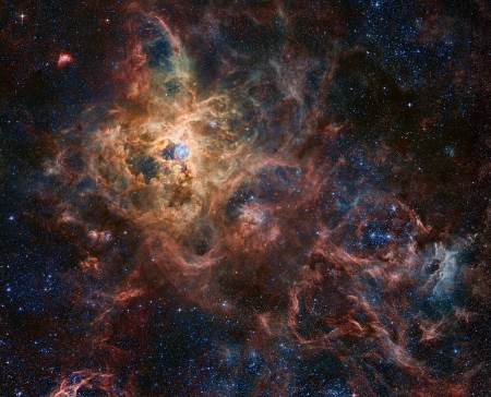 The Tarantula Nebula - fun, stars, cool, galaxy, nebula, space