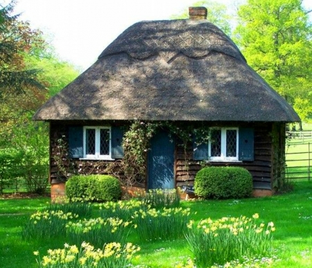 Fairy Tale Cottage - house, grass, fairy tale, cottage