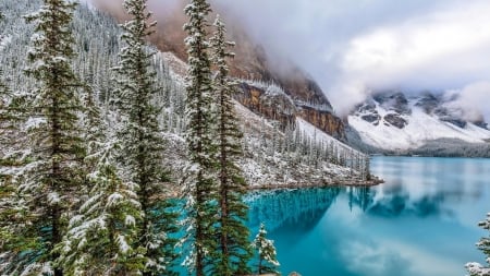 Beautiful Scenery - lake, trees, nature, mountain