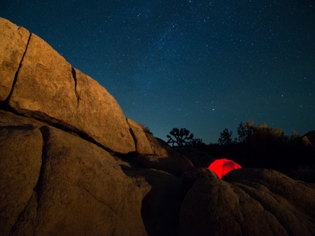 Milky Way - stone, trees, nature, night, stars, tent