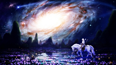 Magical night - anime, blue, girl, spring, night, magical, flower, pink, horse, nebula, manga, fantasy, purple, makkou4, luminos, sky