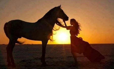 Friends - sunset, girl, horse, beautiful