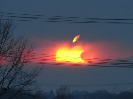 Apple Sunset - nature, trees, sunset, apple, computers