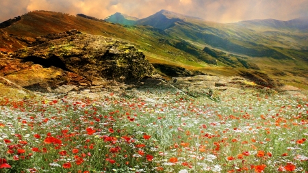 The Hills are Alive - sky, mountains, meadow, poppies, flowers, spring, firefox persona theme