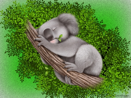 NAP TIME - KOALA, IMAGE, TREE, ABSTRACT