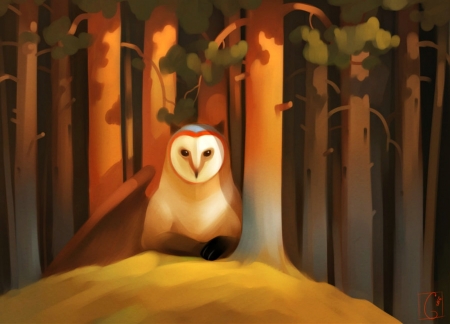 Noctua - bird, gaudibuendia, orange, noctua, owl, fantasy, red, art, luminos