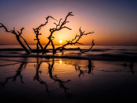 Summer Sunrise - nature, summer, USA, landscape, sunrise, ocean, georgia you, jekll island