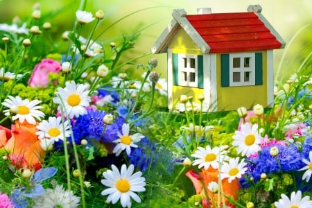 Spring background - flowers, house, beautiful, spring, grass, background