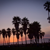 Beach Sunset