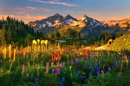 Sunset over the Mountain - muntain, flowers, sunset, nature, mountain