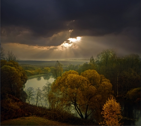 Golden sun rays - sun rays, trees, nature, beautiful