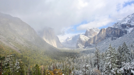 frosty forested mountain valley - fog, frost, forest, mountains, valley