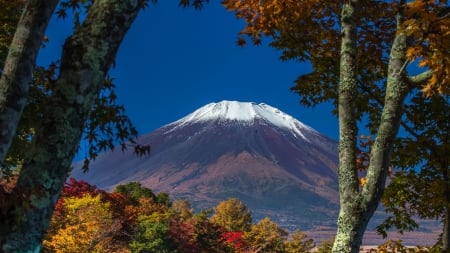 snow capped mount fuji in autumn - trees, volcano, autumn, snow, mountain