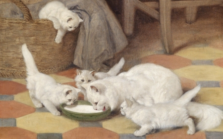 The sweet milk - white, painting, art, milk, cat, animal, pictura, kitten