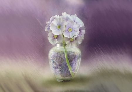 Touch of Spring - purple, flowers, soft, vase