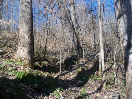 Briar Trail - Nature, Trail, Fields, Rurual