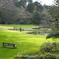 Beautiful Royal Botanic Gardens Melbourne Oz