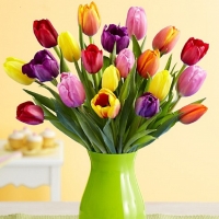 colorful tulips