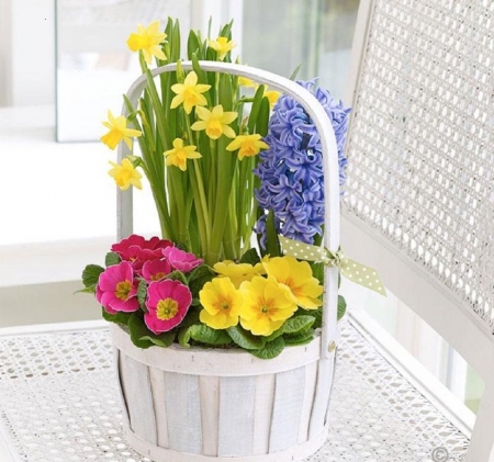 Spring flowers arrangement