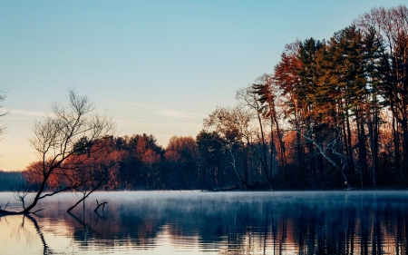 Morning Mist - trees, water, reflection, autumn