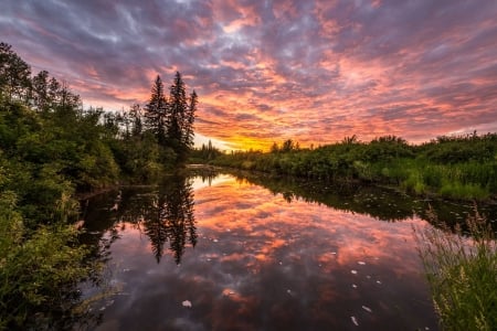 Colorful Sunset - sky, water, reflection, clouds, river, trees, colors