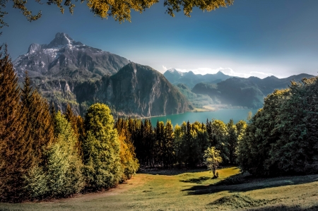 Austrian Alps - landscape, lake, trees, valley