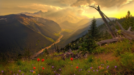 Peaceful View - forest, view, peace, flowers, force of nature, nature, mountain