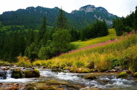 Calm river - slope, calmness, landscape, mountain, rover, grass, spring, creek