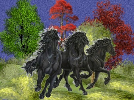 BLACK STALLIONS - THREE, IMAGE, ABSTRACT, HORSES