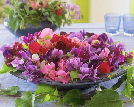 Beautiful Flowers - bloom, flowers, petals, tray