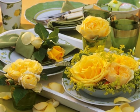 Beautiful Flowers - bloom, flowers, plate, yellow