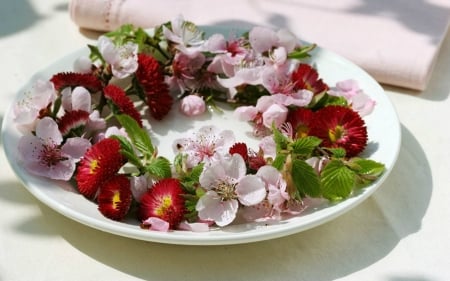 Plate of Flowers - flowers, plate, petals, bloom