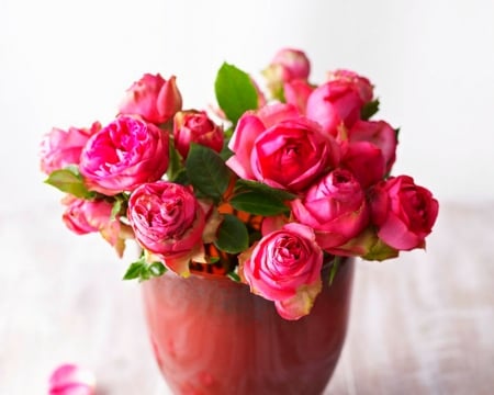 Beautiful Roses - flowers, vase, roses, bloom